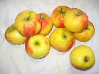 Äpfel Boskoop