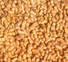 Erdnüsse in der Schale