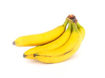 Bananen plastikfreie Erzeugung