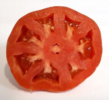 Tomaten Roma-
