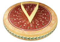 Comte AOC MP 5Mon. (KL)
