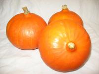 K&uuml;rbis Hokkaido