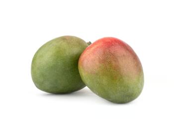 Mango Kent
