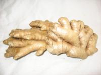 Ingwer fair gehandelt