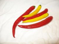 Chili Pepperoni rot/gr&uuml;n
