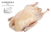 Gans 5-6kg "groß"